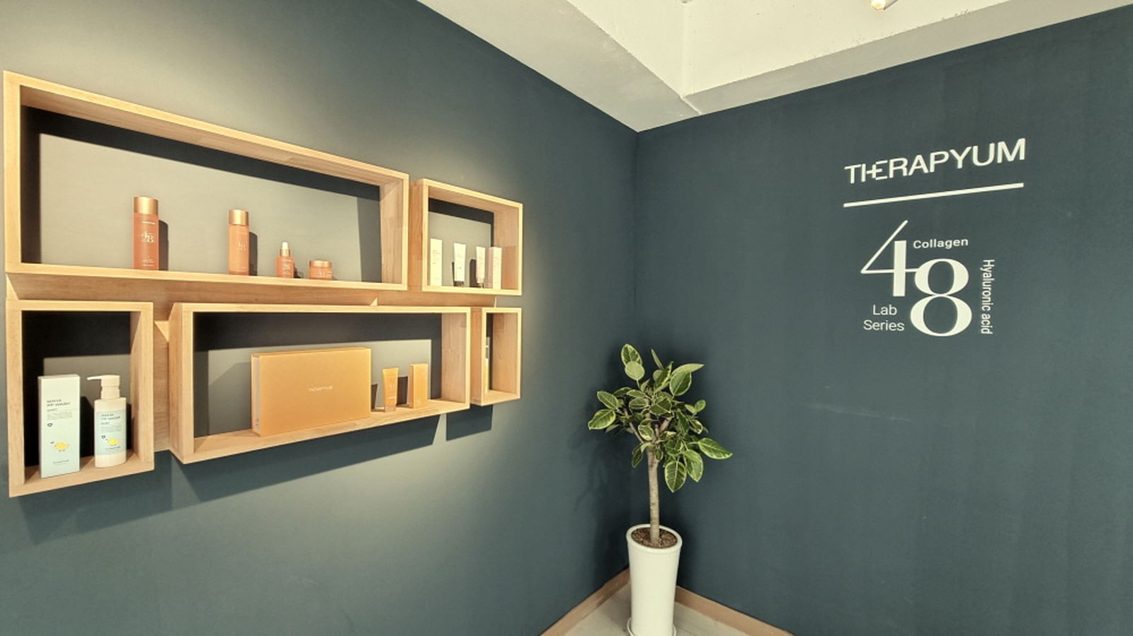 Therapyum showroom, 48 Lab Series